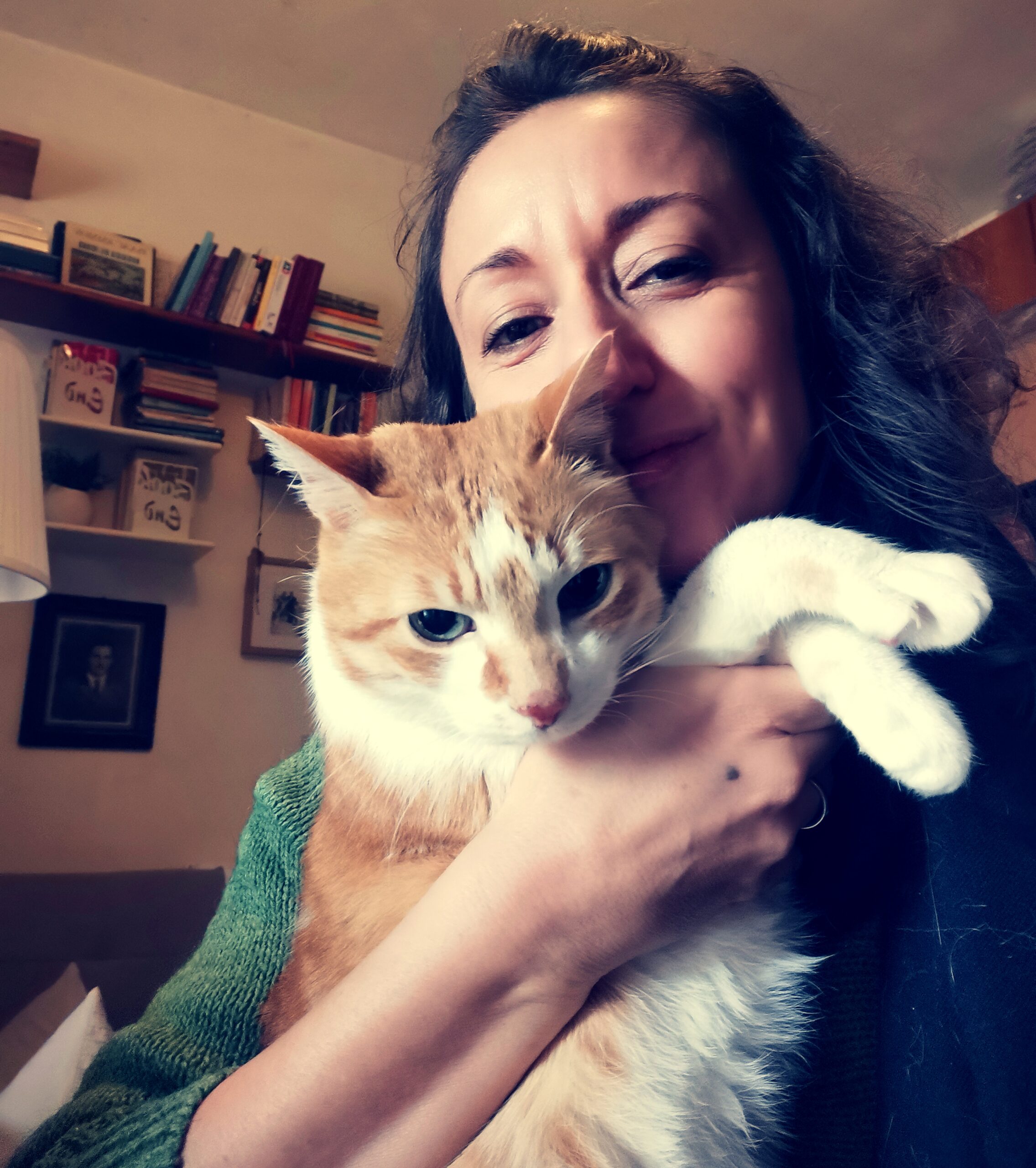 Come scegliere la cat sitter ideale: